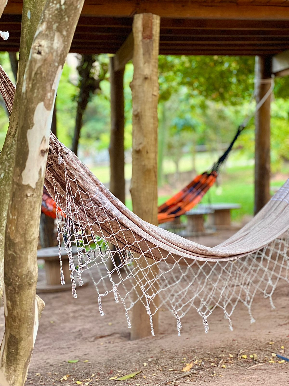 WhatsApp Image 2026-02-12 at 15.05.52 (1)