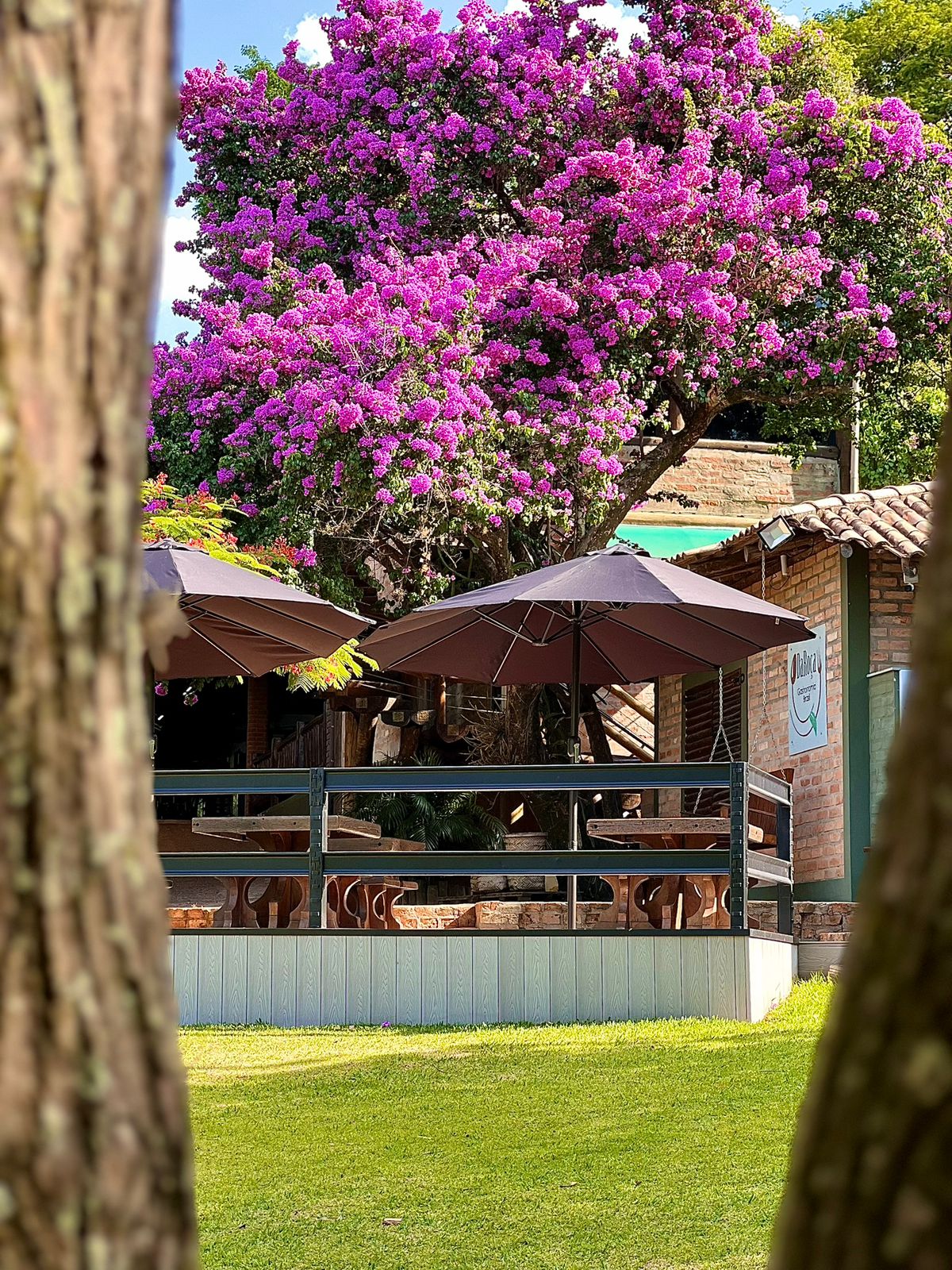 WhatsApp Image 2026-02-12 at 15.05.52